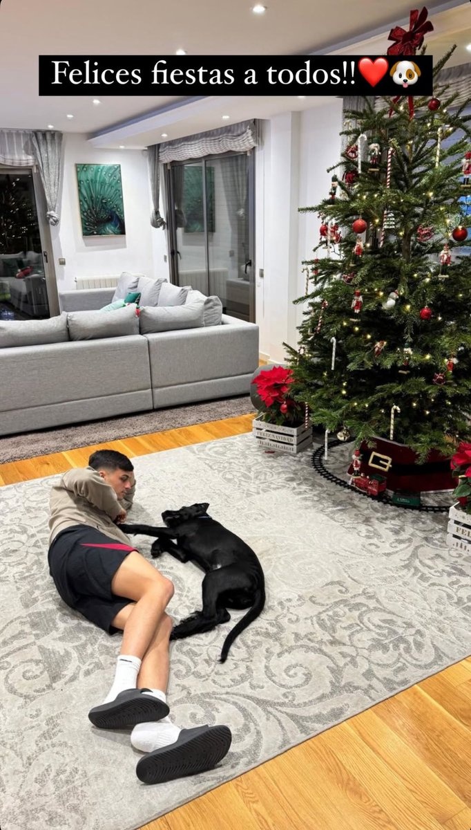 別人曬女友你曬狗，佩德里社媒曬照與愛犬共度平安夜??</p></div>
                <div   id=